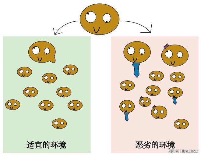 酵母驯化革命:不完全啤酒指南