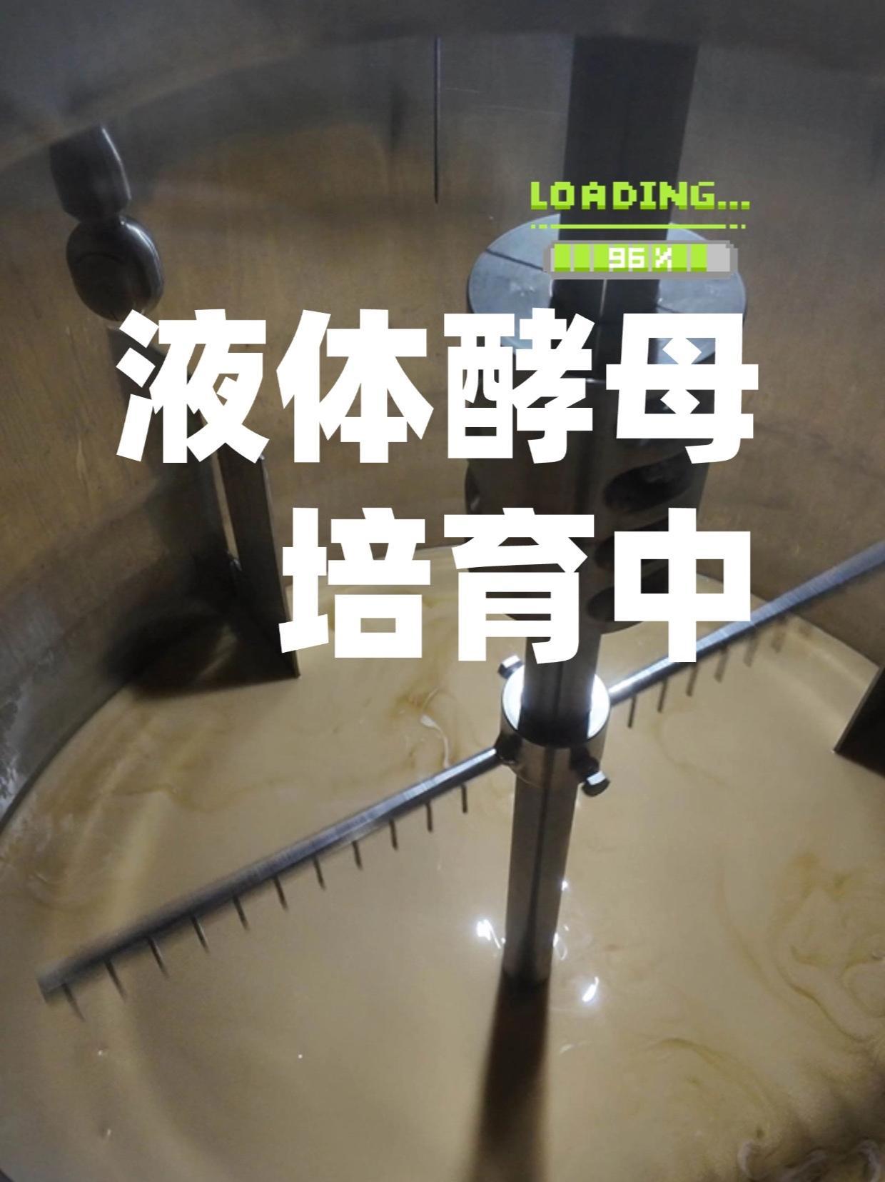 液体酵母扩培实拍 精酿啤酒酿造的活力之源