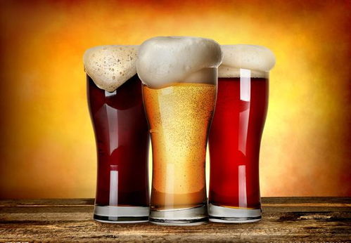 精酿啤酒与健康 探寻酵母之魅，理性看待杯中物